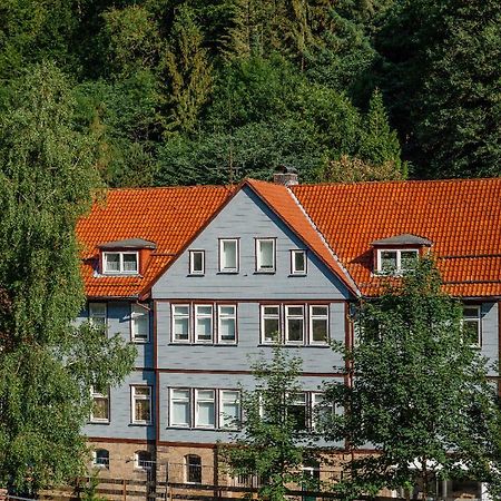 Fewo-Lerbachtal Osterode am Harz Exterior photo