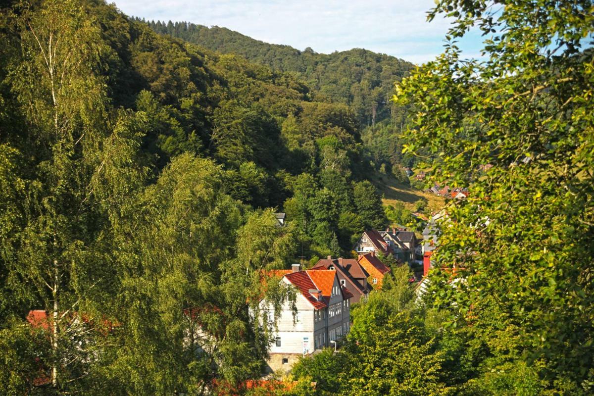 Fewo-Lerbachtal Osterode am Harz Exterior photo