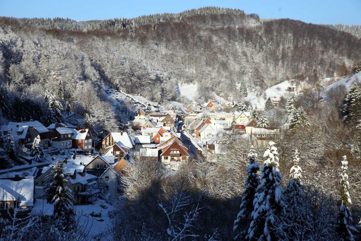 Fewo-Lerbachtal Osterode am Harz Exterior photo