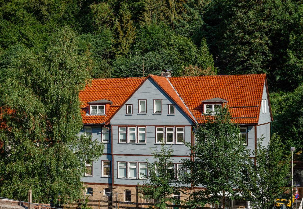 Fewo-Lerbachtal Osterode am Harz Exterior photo