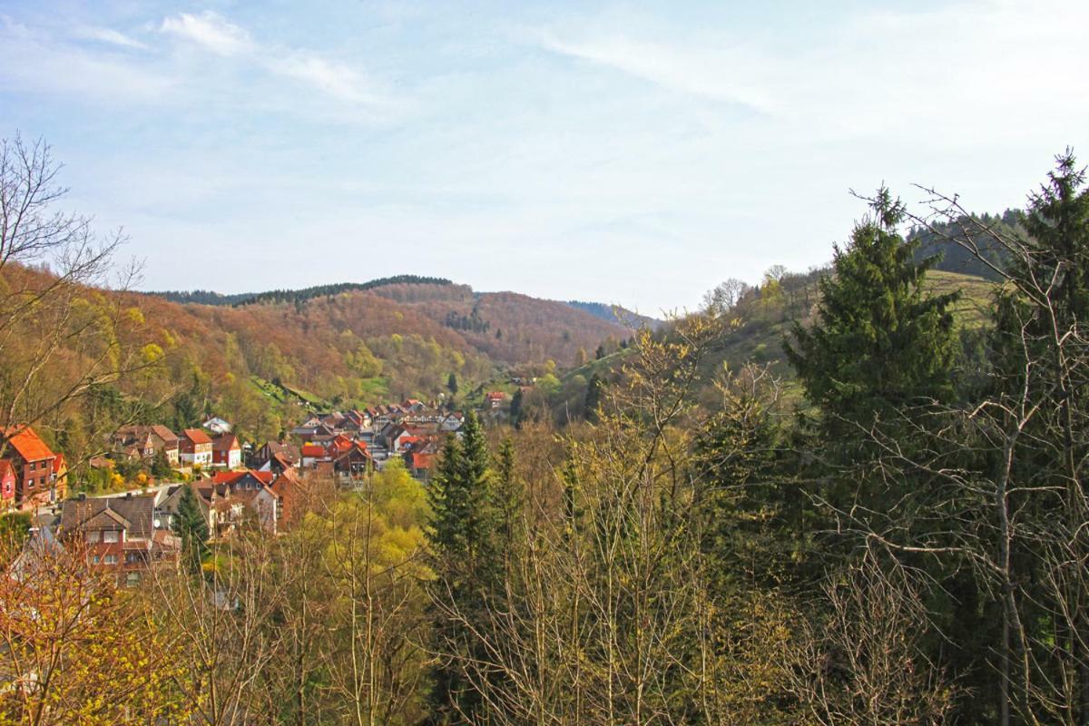 Fewo-Lerbachtal Osterode am Harz Exterior photo
